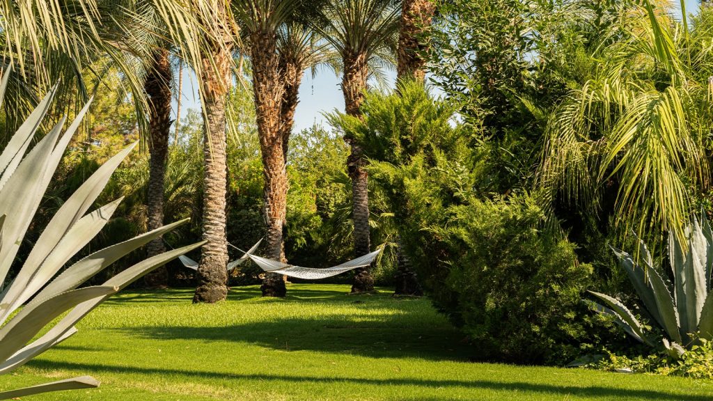 Grounds with Hammock
