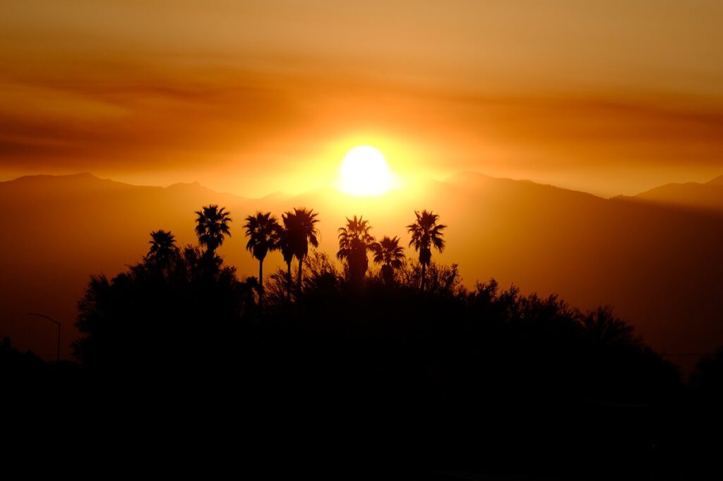 Parker Palm Springs Hiking Sunset and Palms